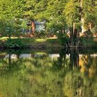 Hrebikarna Teich in Herbst