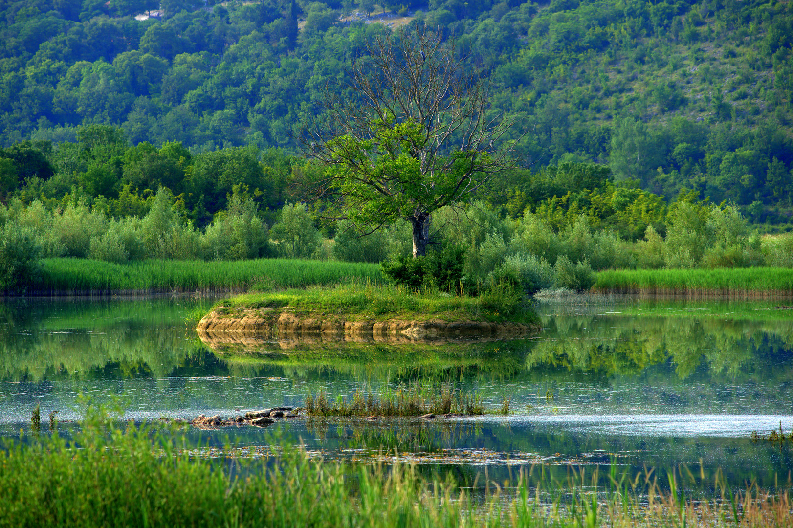 Hrvatska