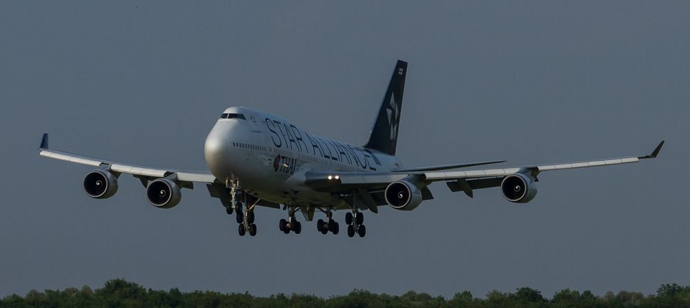 HS-TGW - Thai Airways (Star Alliance livery) #1