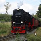 HSB Ausflug nach Wernigerode 2.