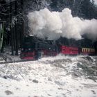 HSB Bahnübergang "Alte Bobbahn"