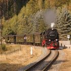 HSB Brocken Traditionszug in Netzkater.