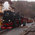 HSB Dampfzug in Eisfelder Talmühle 2.