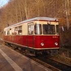 HSB Fischstäbchen in Ilfeld Neanderklinik 1.