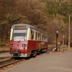 HSB Herbst Ausflug nach Eisfelder Talmühle 3.