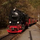 HSB Herbst Ausflug nach Eisfelder Talmühle 4.