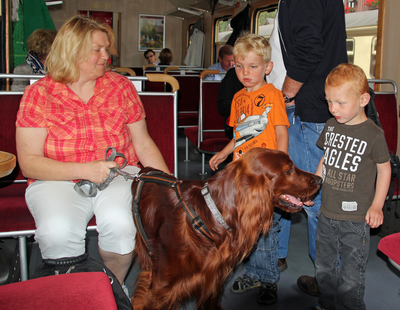 HSB international: Irischer Setter und schwedische Kinder auf der Fahrt zum Brocken