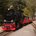 HSB Sommer Ausflug nach Eisfelder Talmühle 6.