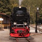 HSB Sommer Ausflug nach Eisfelder Talmühle 7.