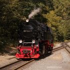 HSB Sommer Ausflug nach Eisfelder Talmühle 8.