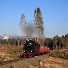 HSB und Harz im Frühjahr geht immer (III)