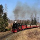 HSB und Harz im Frühjahr geht immer (IV)