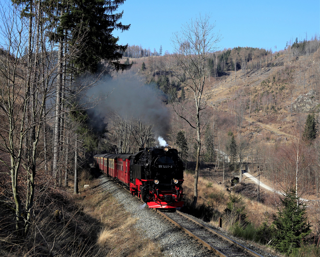 HSB und Harz im Frühjahr geht immer (V)