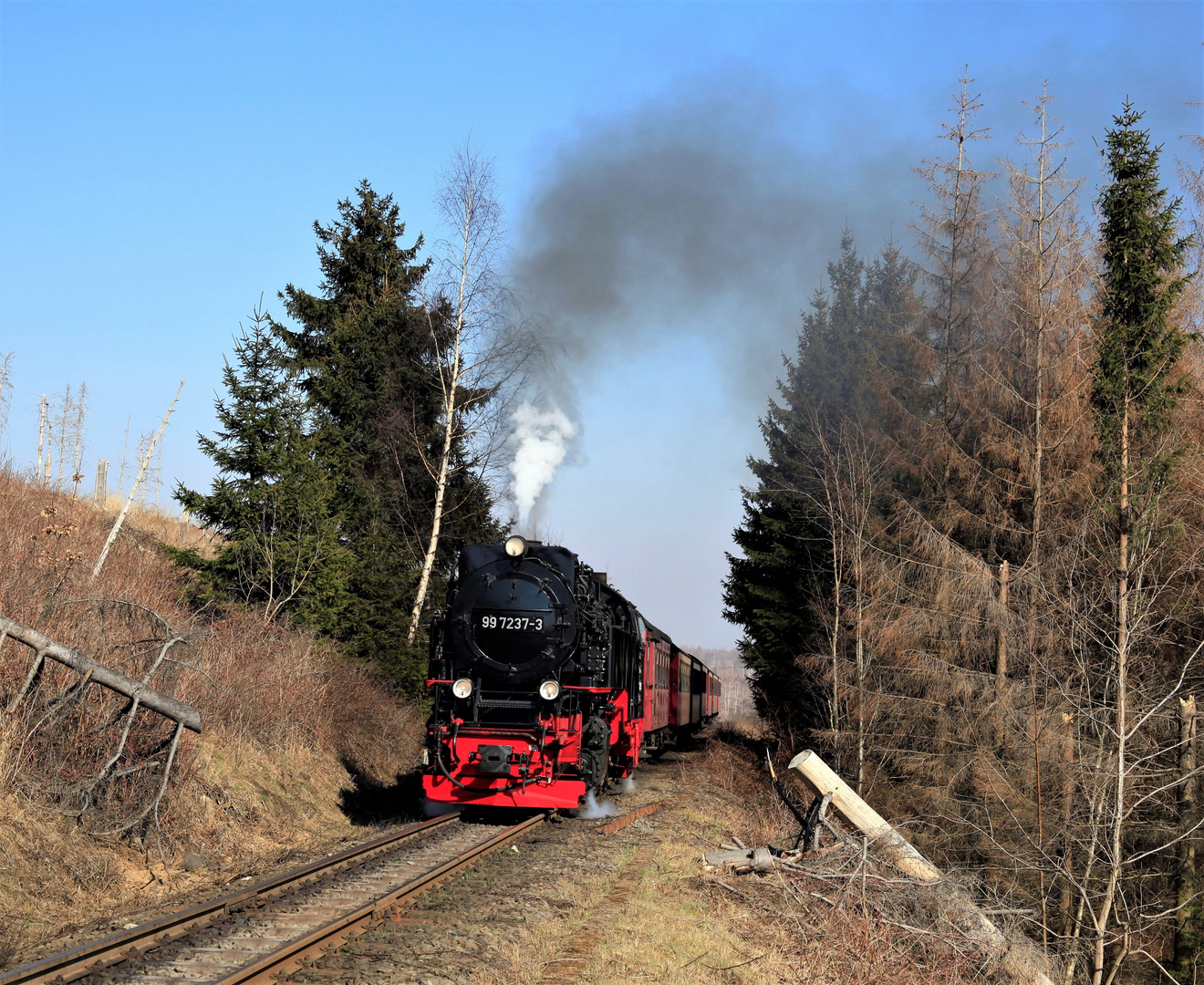 HSB und Harz im Frühjahr geht immer (VI)