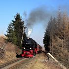 HSB und Harz im Frühjahr geht immer (VI)