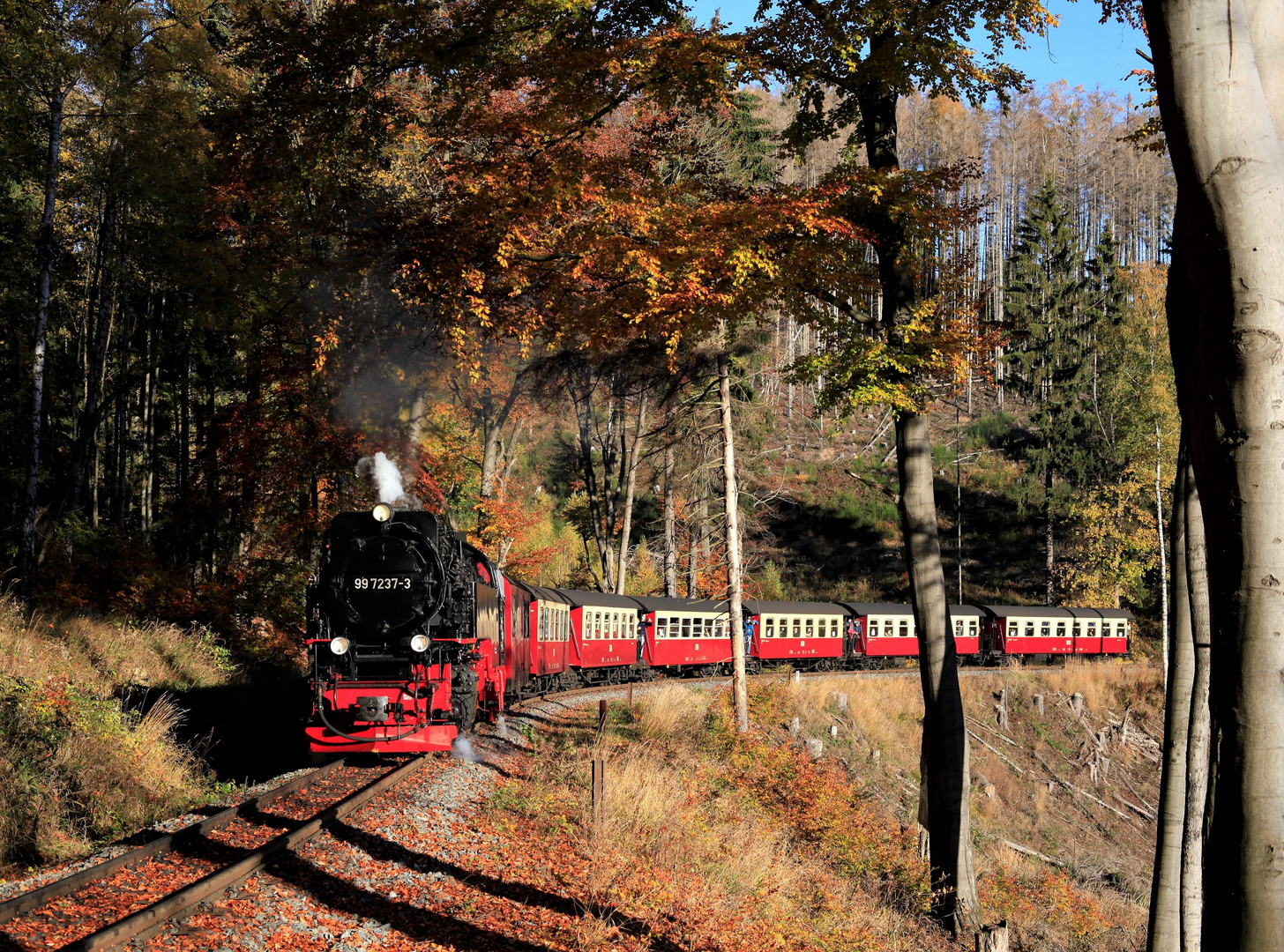 HSB und Harz im Herbst geht immer (I)