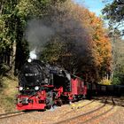 HSB und Harz im Herbst geht immer (II)