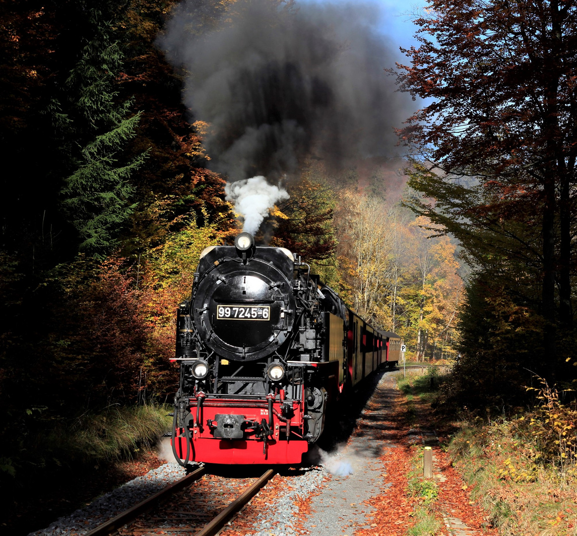 HSB und Harz im Herbst geht immer (IV) 