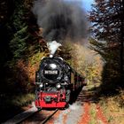 HSB und Harz im Herbst geht immer (IV) 