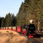 HSB und Harz im Herbst geht immer (IX)