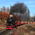 HSB und Harz im Herbst geht immer (V) 