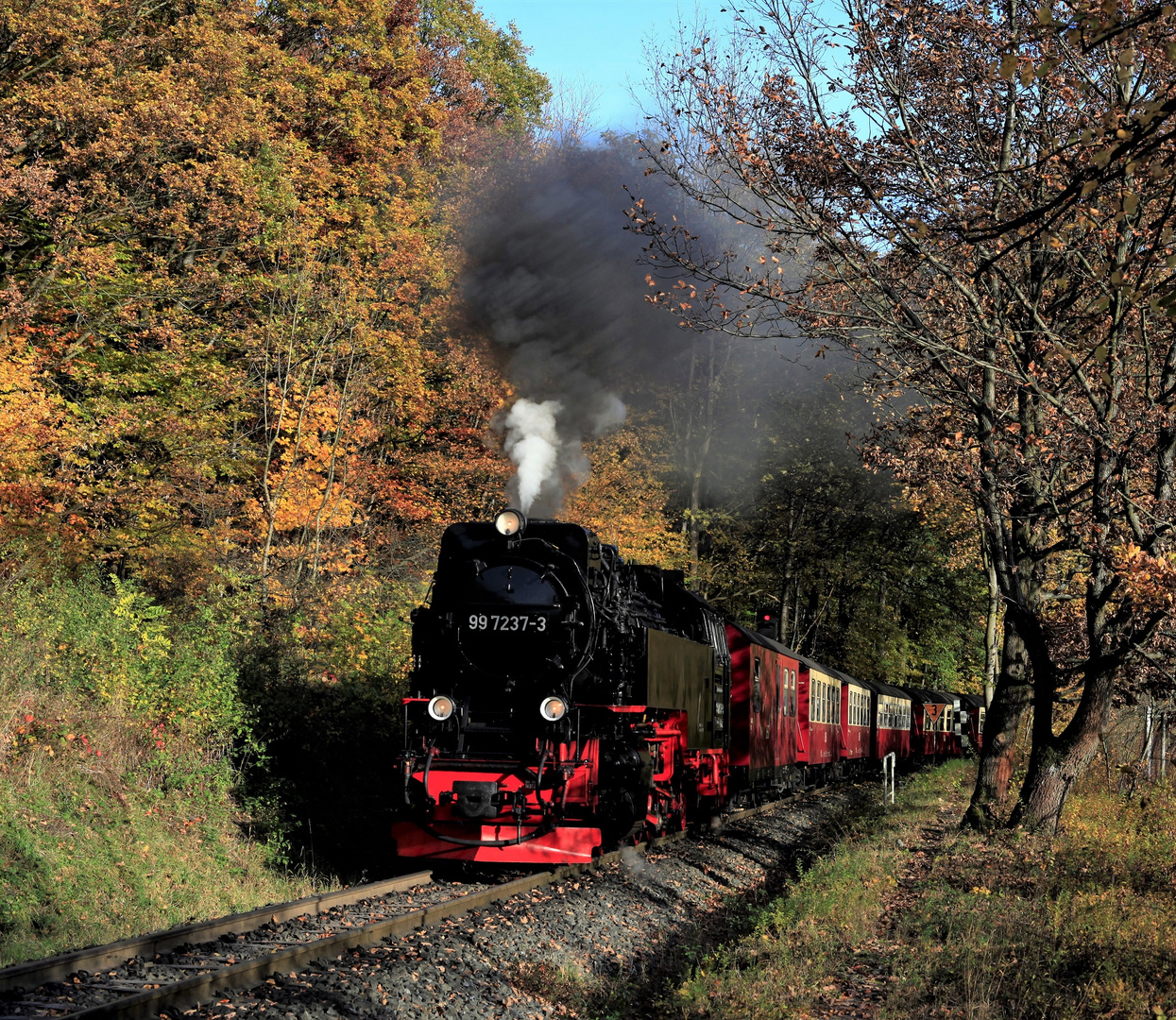 HSB und Harz im Herbst geht immer (VI) 