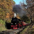 HSB und Harz im Herbst geht immer (VI) 