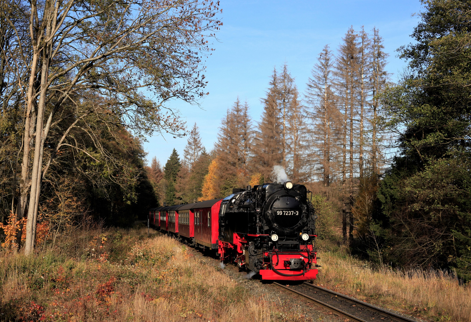 HSB und Harz im Herbst geht immer (VII) 