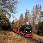 HSB und Harz im Herbst geht immer (VII) 