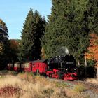 HSB und Harz im Herbst geht immer (VIII) ...