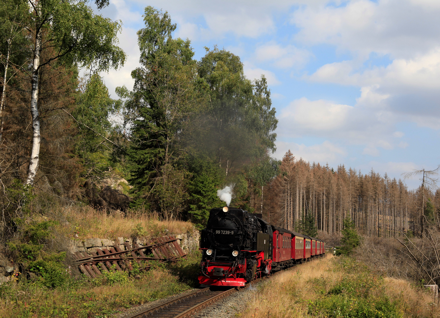 HSB und Harz im Spätsommer geht immer (II)