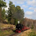 HSB und Harz im Spätsommer geht immer (II)