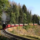 HSB und Harz im Spätsommer geht immer (III)