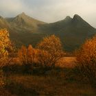 "Høst på fjellet"