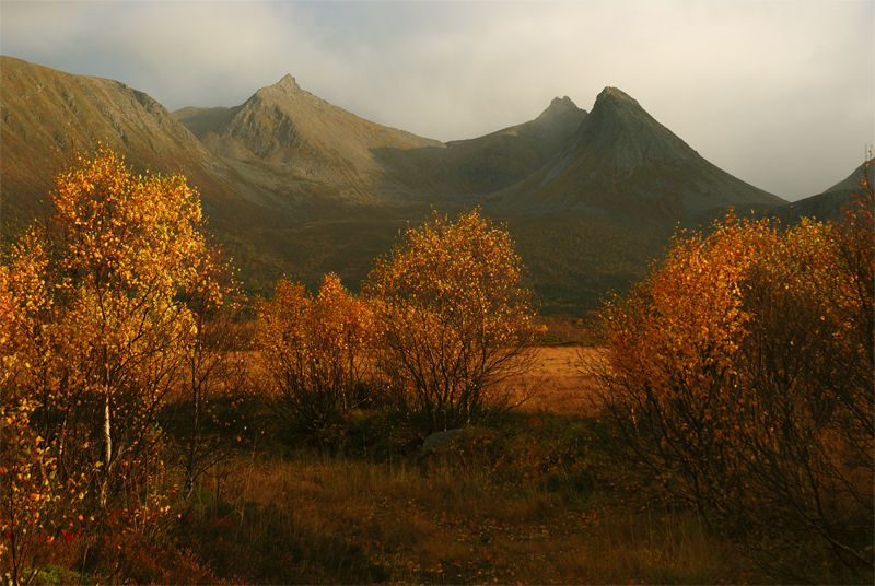 "Høst på fjellet"