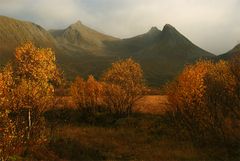 "Høst på fjellet"