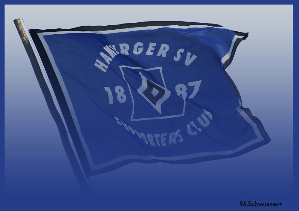 HSV ( Thema: Bewegung von M.Schw. )