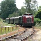 HTB V9 auf dem Weg zum Alten Bahnhof