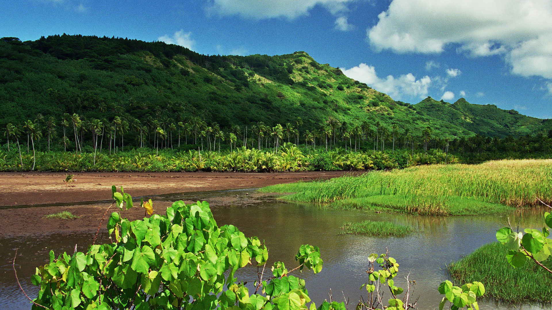 HUAHINE PUR OZEANIA