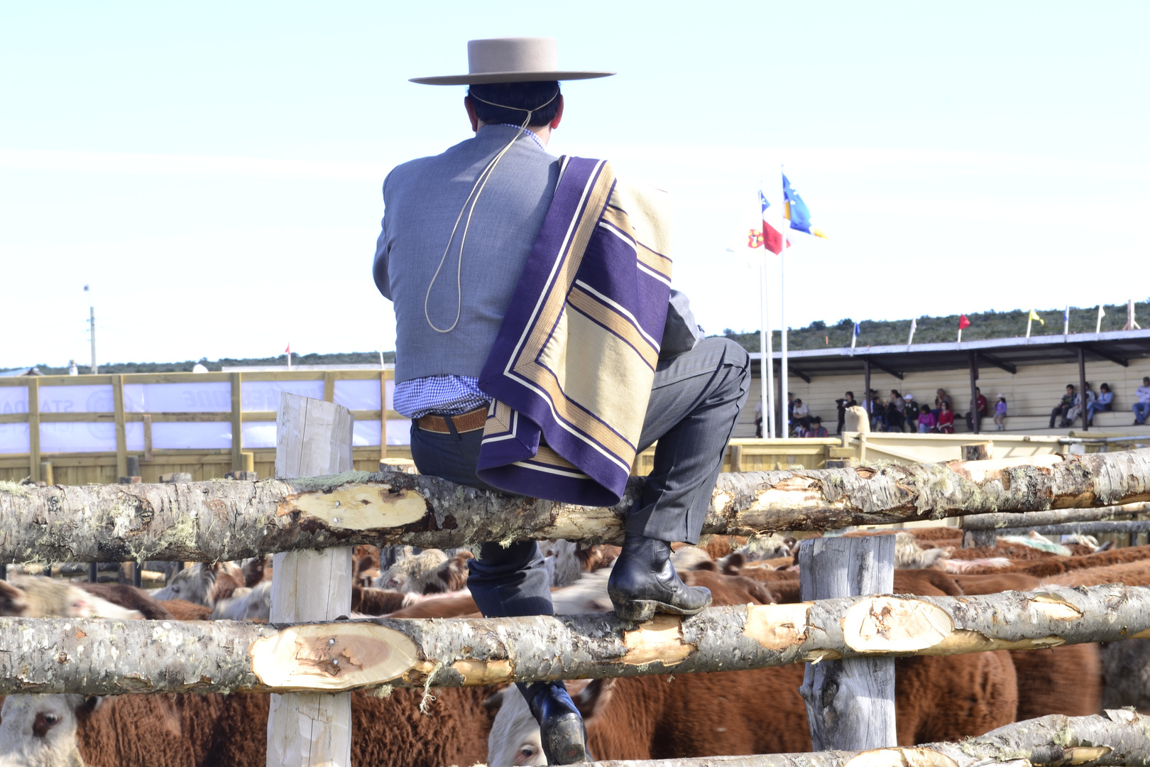 Huaso Rodeo Laguna Blanca 2011 Punta Arenas - Chile