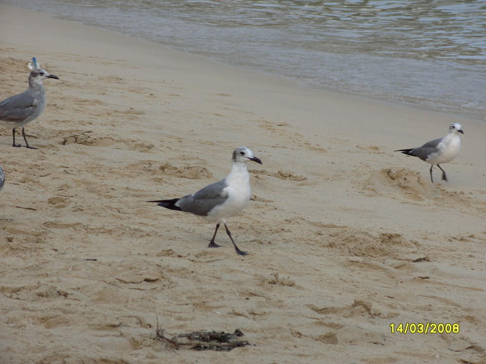 Huatulco