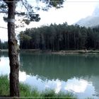 Huber Weiher im Naturpark Schlern/Südtirol - 06.08.2015