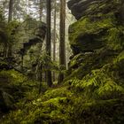 Huberfelsen im Steinwald