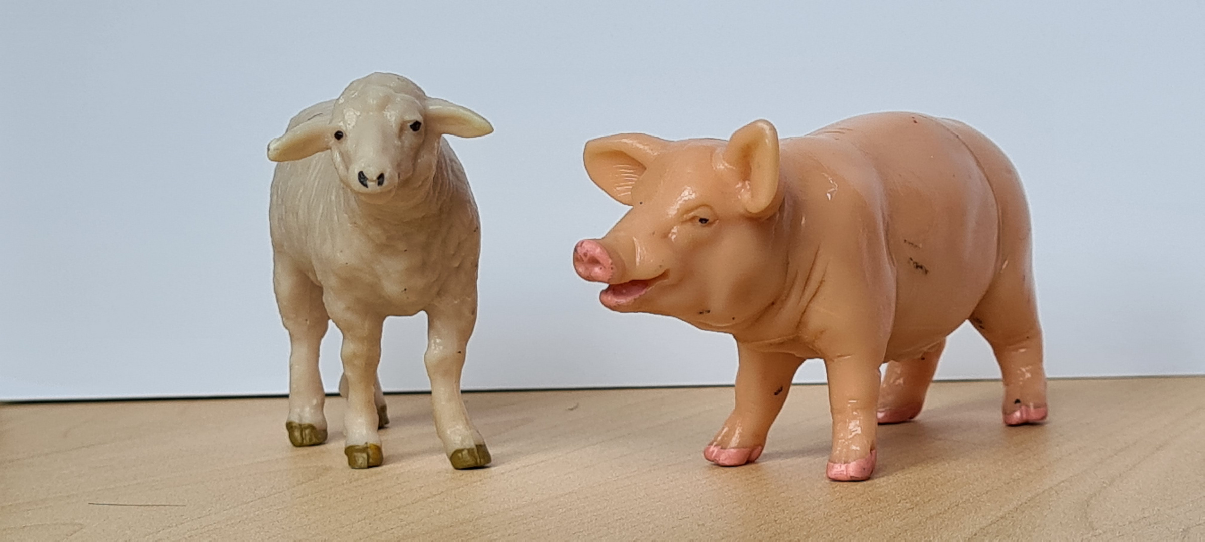 Hubert schaf + schwein