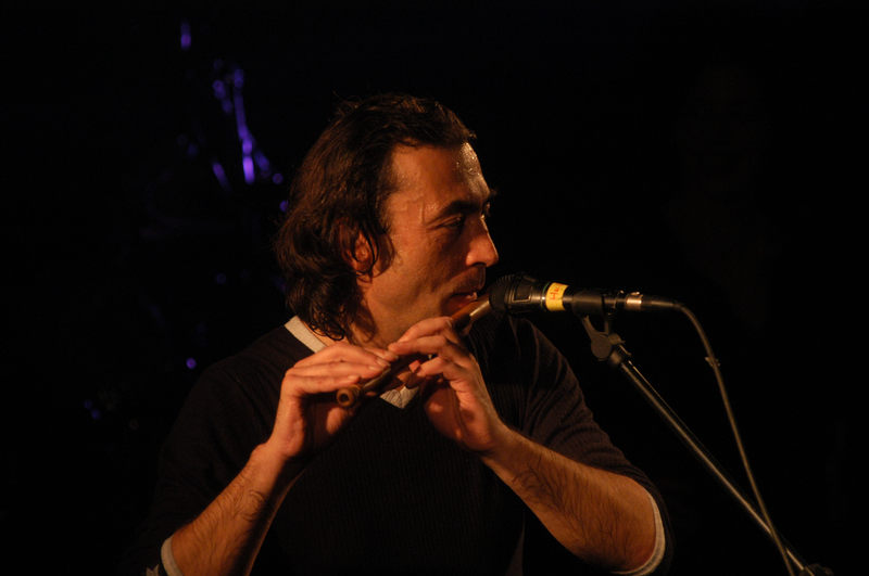 Hubert von Goisern 2