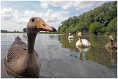 Hubert´s Familie