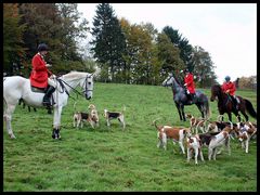 -Hubertus Reitjagd in Neuhaus im Solling-