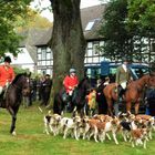 Hubertus Reitjagd mit der Niedersachsen Meute