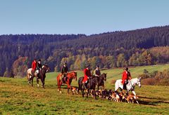 - Hubertus Reitjagd Neuhaus im Solling-