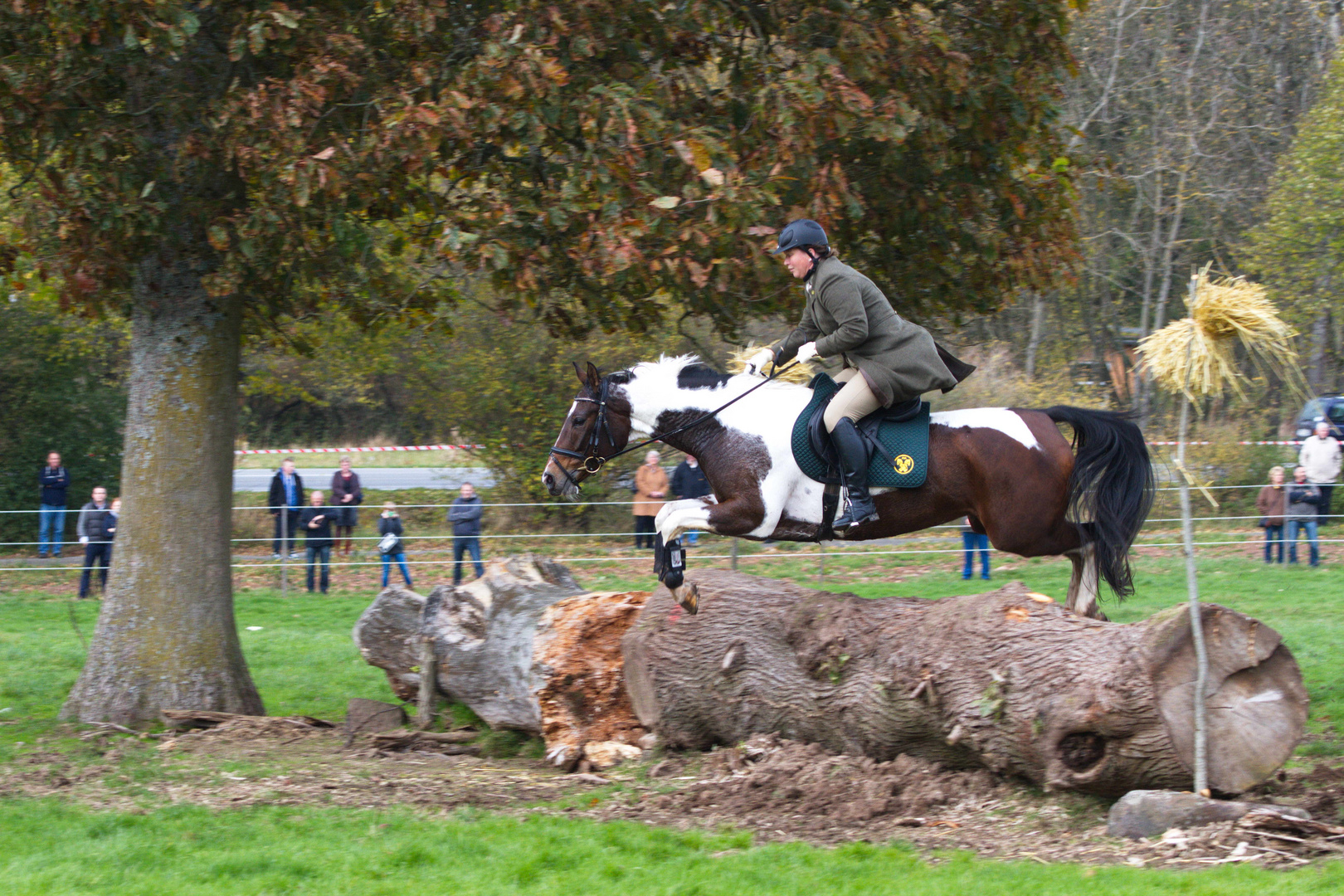 Hubertusjagd in Neuhaus im Solling 2013/Bild 2